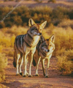 Coyotes Diamond Painting