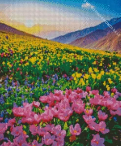 Crocus Field Diamond Painting