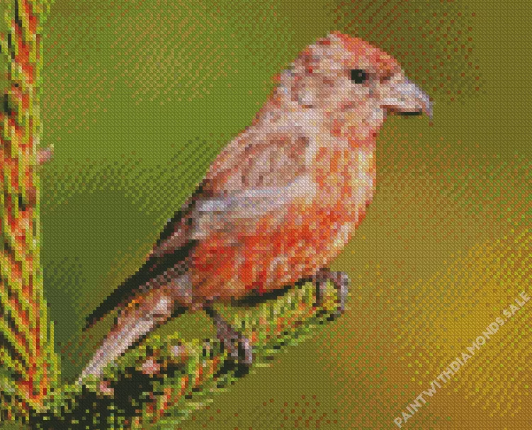 Crossbill Diamond Dotz Crossbill Diamond Painting