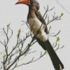 Crowned Hornbill Diamond Painting