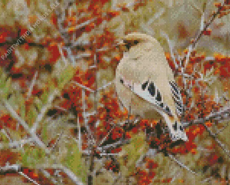 Desert finch Diamond Dotz Desert Finch Diamond Painting