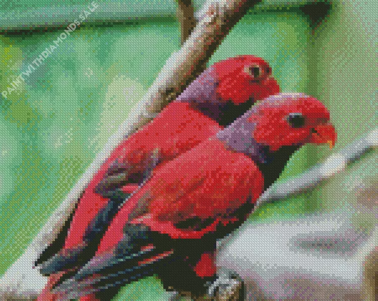 Eos birds Diamond Dotz Eos Birds Diamond Painting