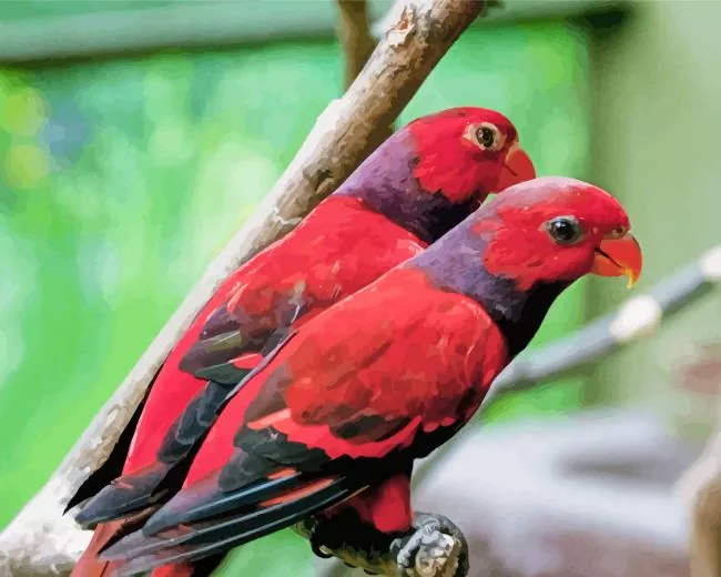 Eos birds Diamond With Numbers Eos Birds Diamond Painting