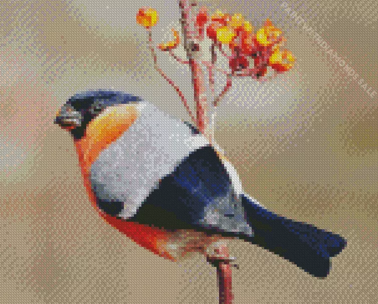 Eurasian bullfinch Diamond Dotz Eurasian Bullfinch Diamond Painting