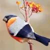 Eurasian Bullfinch Diamond Painting