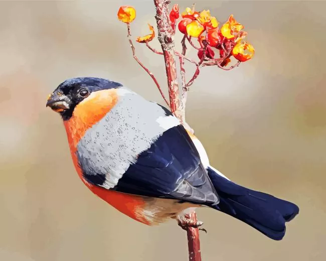 Eurasian bullfinch Diamond With Numbers Eurasian Bullfinch Diamond Painting