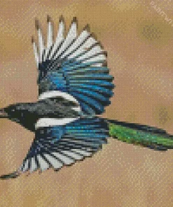 Eurasian Magpie Flying Diamond Painting