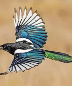 Eurasian Magpie Flying Diamond Painting