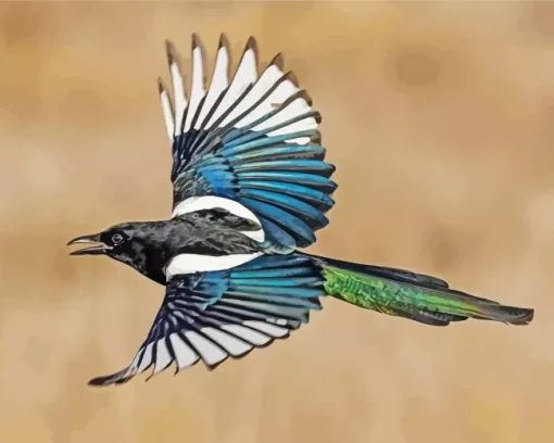 Eurasian Magpie Flying Diamond Painting