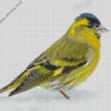 Eurasian Siskin Diamond Painting