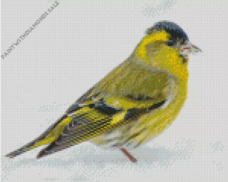 Eurasian siskin Diamond Dotz Eurasian Siskin Diamond Painting