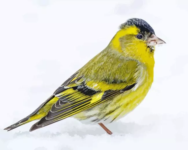 Eurasian siskin Diamond With Numbers Eurasian Siskin Diamond Painting