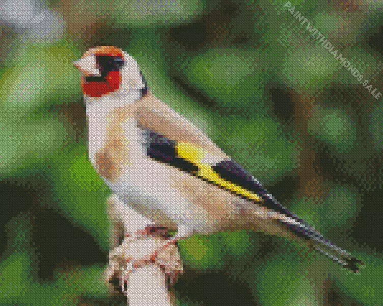 European goldfinch Diamond Dotz European Goldfinch Art Diamond Painting