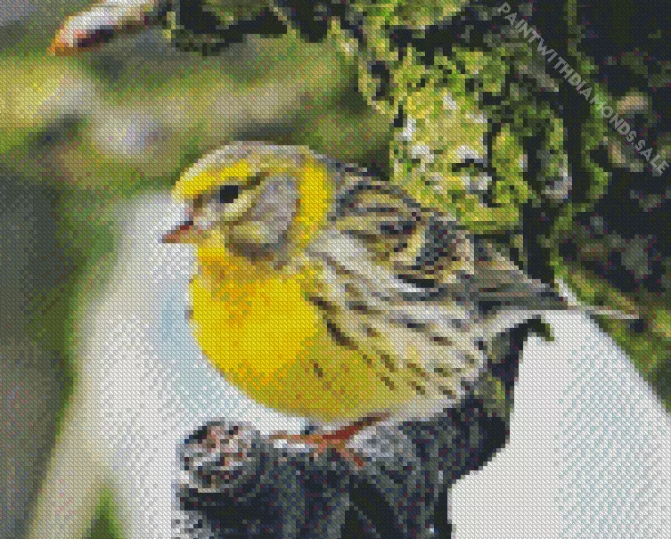 European serin bird Diamond Dotz European Serin Bird Diamond Painting
