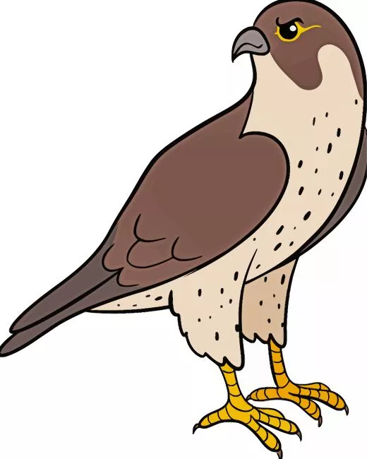 Falcon art Diamond By Numbers Falcon Art Diamond Painting