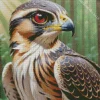 Falcon Bird With A Yellow Beak Diamond Painting