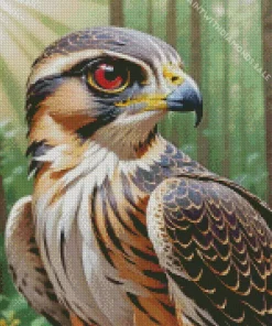 Falcon Bird With A Yellow Beak Diamond Painting