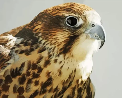 Falcon Close Up Diamond Painting