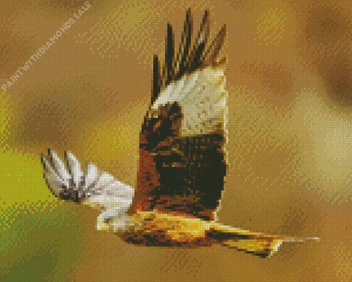 Falcon Flying Bird Diamond Painting