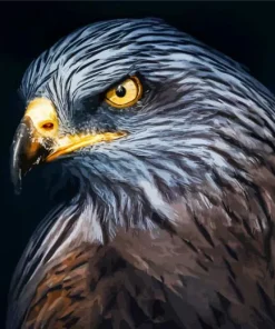 Falcon Head Diamond Painting