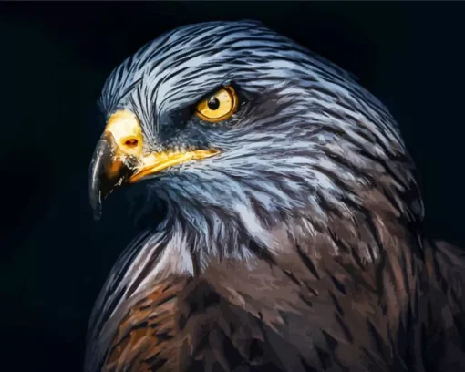 Falcon Head Diamond Painting