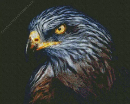 Falcon Head Diamond Painting