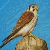 Falcon On A Tree Diamond Painting