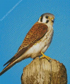 Falcon On A Tree Diamond Painting