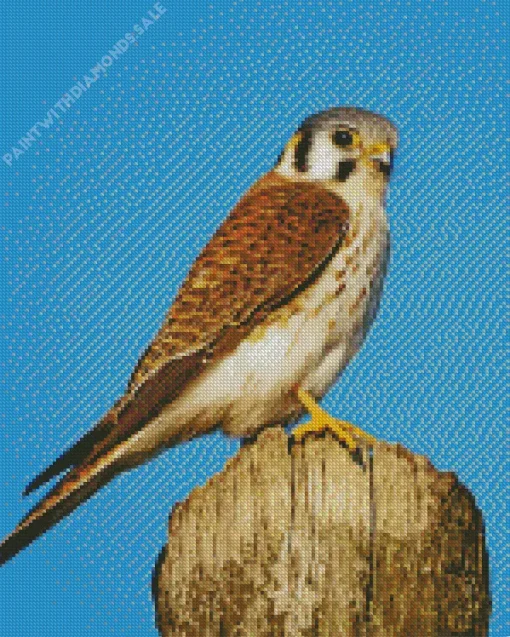 Falcon On A Tree Diamond Painting