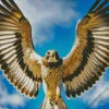 Falcon With Wings Diamond Painting