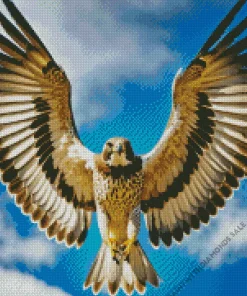 Falcon With Wings Diamond Painting