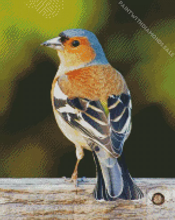 Fringilla4 Diamond Dotz Fringilla Diamond Painting