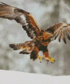 Golden Eagle In Snow Diamond Painting