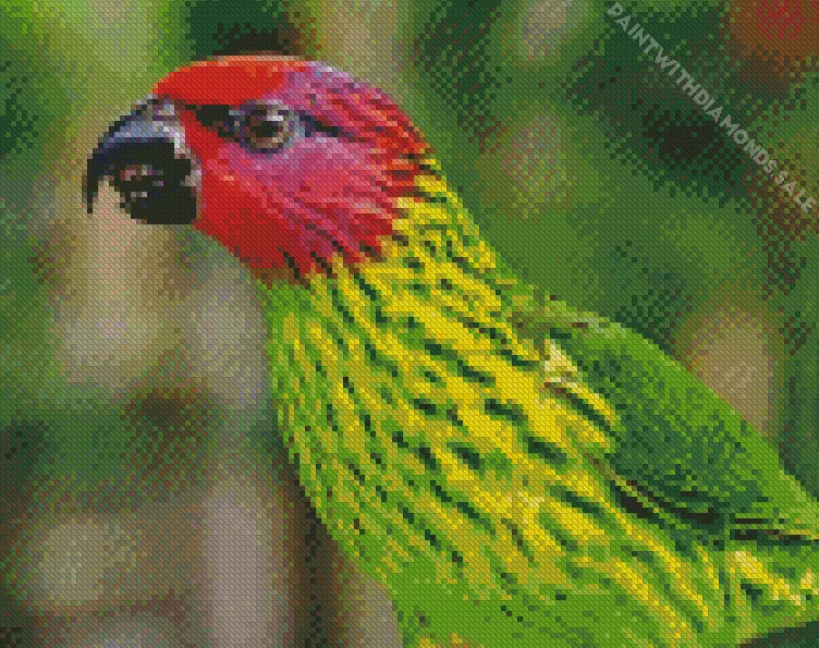 Goldie's lorikeet Diamond Dotz Goldies Lorikeet Diamond Painting