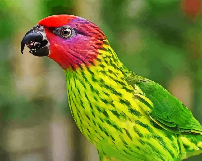Goldie's lorikeet Diamond With Numbers Goldies Lorikeet Diamond Painting