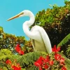 Great Egret And Red Flowers Diamond Painting