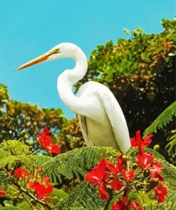 Great Egret And Red Flowers Diamond Painting