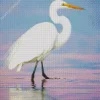 Great Egret And Sea Diamond Painting