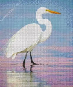 Great Egret And Sea Diamond Painting