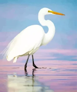 Great Egret And Sea Diamond Painting