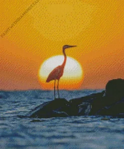 Great Egret And Sunset Diamond Painting