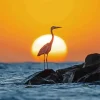 Great Egret And Sunset Diamond Painting
