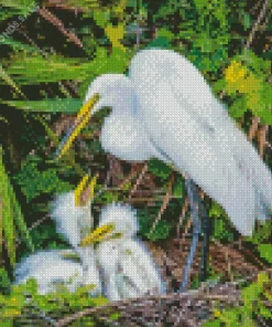 Great Egret Birds Diamond Painting