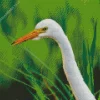 Great Egret Head Diamond Painting