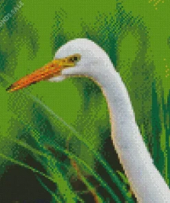 Great Egret Head Diamond Painting