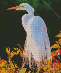 Great Egret In Sunset Light Diamond Painting