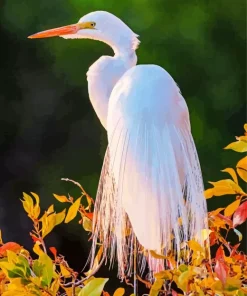 Great Egret In Sunset Light Diamond Painting