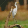 Great Egret On A Branch Diamond Painting