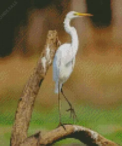 Great Egret On A Branch Diamond Painting