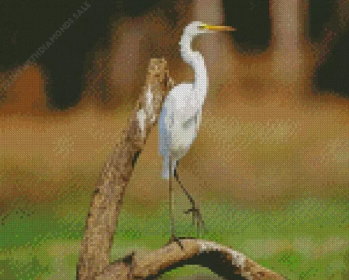 Great Egret On A Branch Diamond Painting